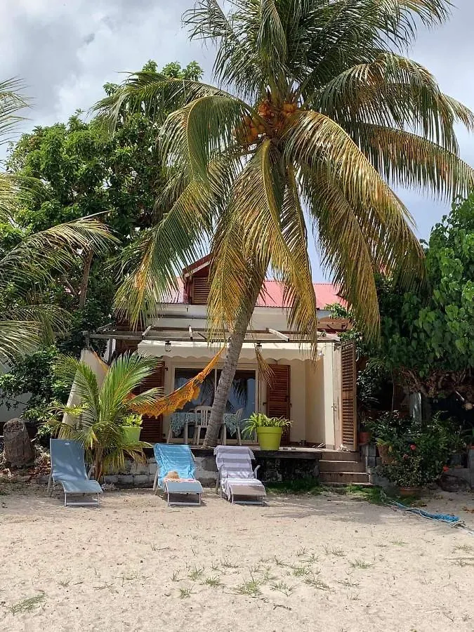 Villa Dans la baie des Saintes Les pieds dans l'eau à Terre-De-Haut Guadeloupe