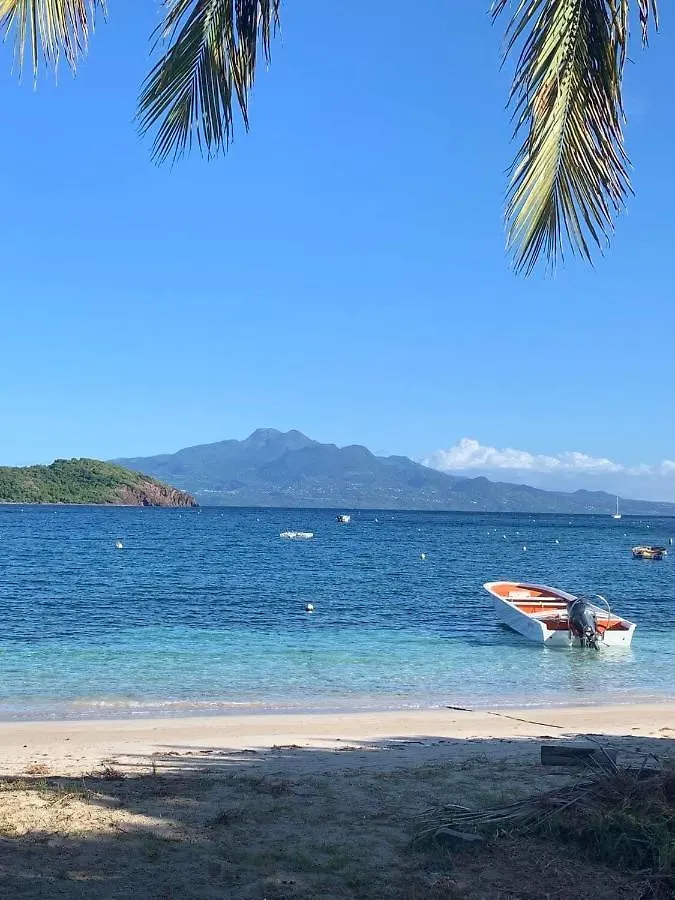 Villa Dans la baie des Saintes Les pieds dans l'eau à Terre-De-Haut
